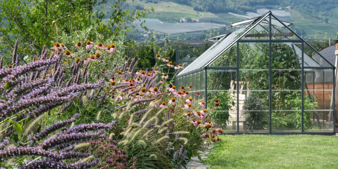 Farbenfrohe Stauden- und Gräserbepflanzung im Vordergrund mit Gewächshaus im Hintergrund.